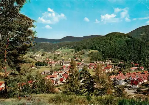 AK / Ansichtskarte  Schenkenzell Panorama Luftkurort