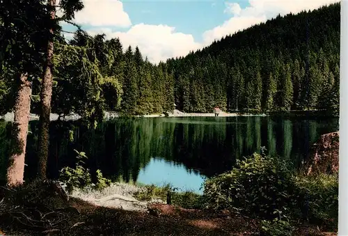 AK / Ansichtskarte  Glaswaldsee_Bad_Rippoldsau_Schwarzwald Partie am See