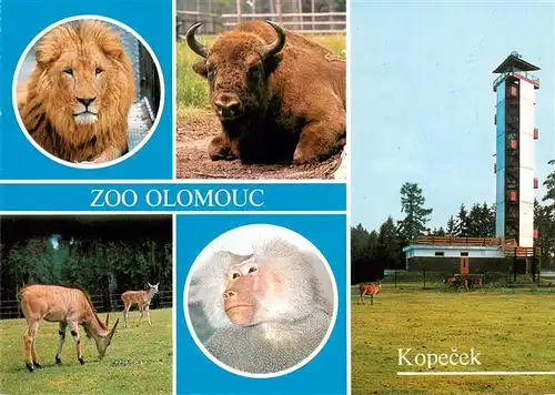 AK / Ansichtskarte  Zoo_Gardin_Zoologique-- Olomouc Kopecek