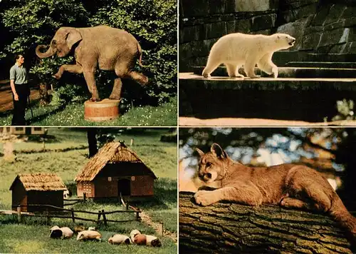 AK / Ansichtskarte  Zoo_Gardin_Zoologique-- Wuppertal Zoologischer Garten