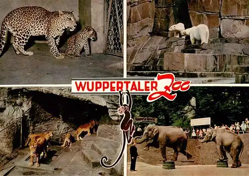 AK / Ansichtskarte  Zoo_Gardin_Zoologique-- Wuppertaler Zoo