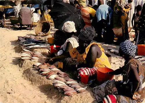 AK / Ansichtskarte  Fischerei_fishing_peche Afrique en Couleurs Africa in Pictures Fishmongers