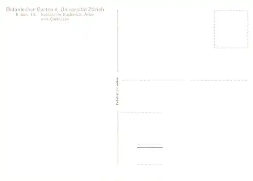 AK / Ansichtskarte  Kakteen Botanischer Garten Universitaet Zuerich 