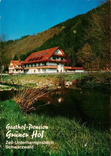 AK / Ansichtskarte  Unterharmersbach Gasthof Pension Gruener Hof