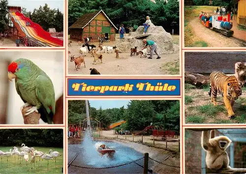 AK / Ansichtskarte  Thuele_Friesoythe Tierpark Teilansichten