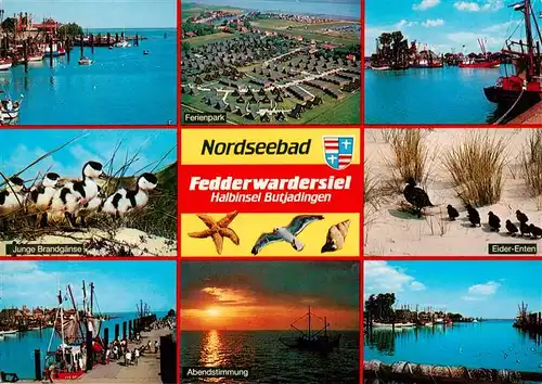 AK / Ansichtskarte  Fedderwardersiel_Butjadingen Hafenpartien Junge Brandgaense Ferienpark Eider Enten Abendstimmung