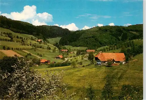 AK / Ansichtskarte  Oberentersbach Panorama