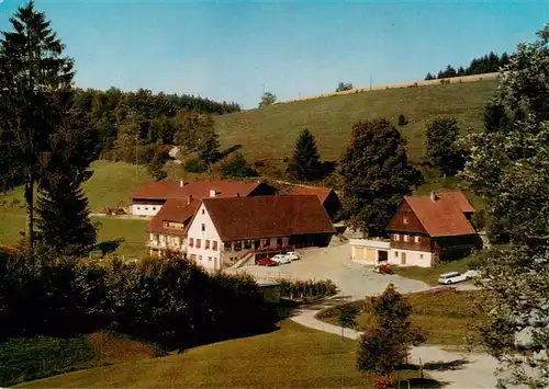 AK / Ansichtskarte  Wolfach_Schwarzwald Gasthaus Pension zum Adler