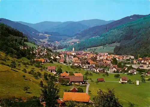 AK / Ansichtskarte  Oberwolfach Panorama