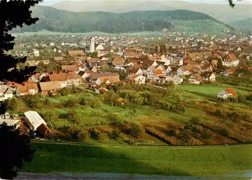 AK / Ansichtskarte  Biberach_Baden Panorama