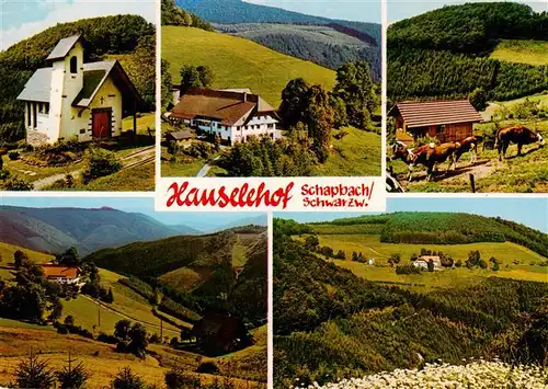 AK / Ansichtskarte 73931159 Schapbach Hauselehof Panorama Teilansichten