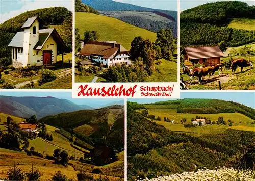 AK / Ansichtskarte  Schapbach Hauselehof Panorama Teilansichten