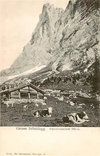 AK / Ansichtskarte  Grosse_Scheidegg_1962m_BE Alpenlandschaft