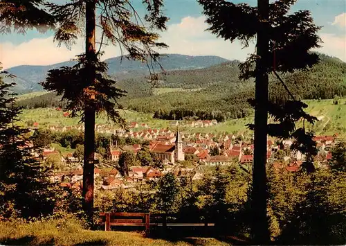 AK / Ansichtskarte  Zell_Harmersbach Panorama