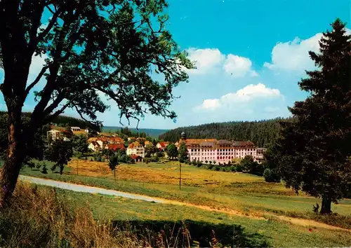 AK / Ansichtskarte  Friedenweiler Gasthof Pension Steppacher