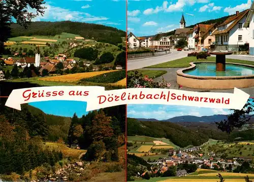 AK / Ansichtskarte  Doerlinbach_Schuttertal Panorama Brunnen Teilansichten