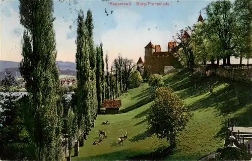 AK / Ansichtskarte  Rapperswil_BE Burg Promenade