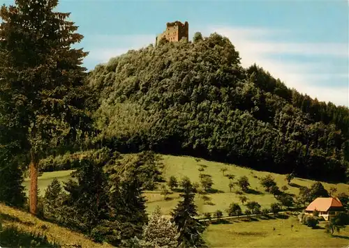 AK / Ansichtskarte  Schoenberg_Seelbach Ruine Hohengeroldseck Pass Hoehenhotel Geroldseck