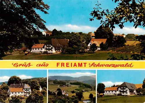 AK / Ansichtskarte  Freiamt_St_Gallen_SG Ristsimonhof Panorama Teilansichten