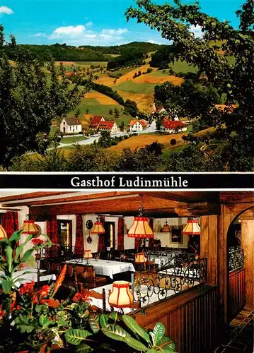 AK / Ansichtskarte  Freiamt_Emmendingen_BW Gasthof Ludinmuehle Gastraum