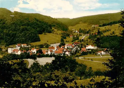 AK / Ansichtskarte  Reichenbach_Freiamt Panorama