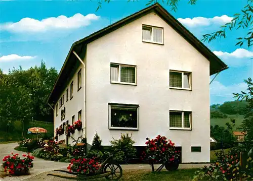 AK / Ansichtskarte  Freiamt_Emmendingen_BW Pension Schneider