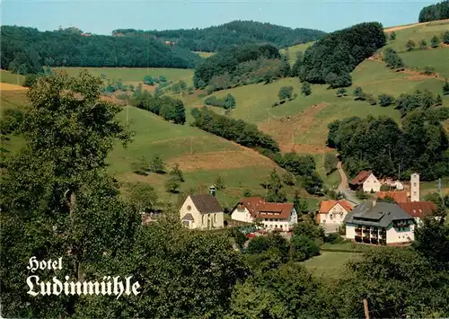 AK / Ansichtskarte  Freiamt_Emmendingen_BW Gasthof Ludinmuehle Panorama