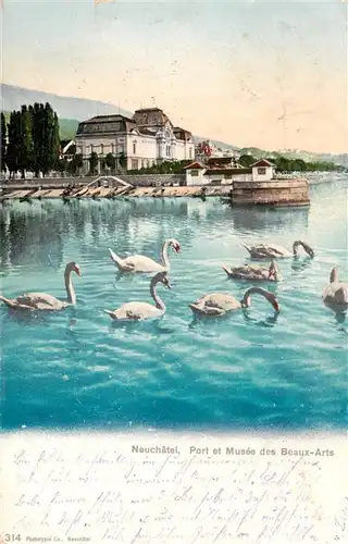 AK / Ansichtskarte  Neuchatel_NE Port et Musée des Beaux Arts des cygnes