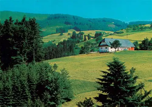 AK / Ansichtskarte  Horben_Breisgau_Schwarzwald Landschaftspanorama mit Gasthof Buckhof am Schauinsland