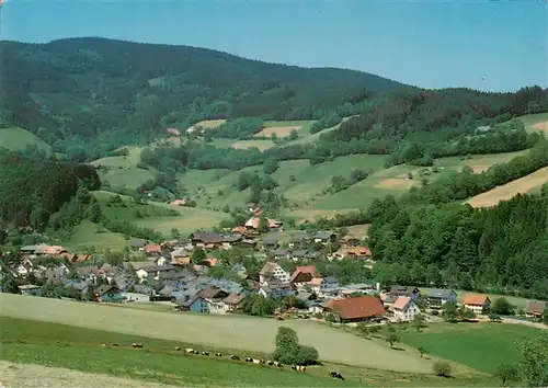 AK / Ansichtskarte  Oberried__Breisgau_Schwarzwald Panorama