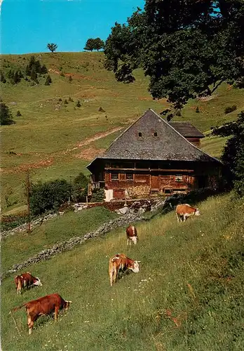 AK / Ansichtskarte  Hofsgrund_Oberried_Schauinsland Bauernhaus Museum Schniederlihof 300jaehriges Schwarzwaldhaus