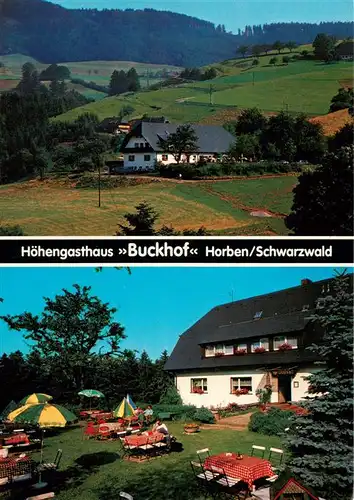 AK / Ansichtskarte 73932085 Horben_Breisgau_Schwarzwald Hoehengasthaus Buckhof Garten