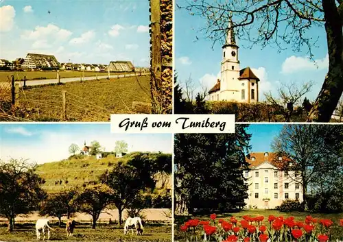 AK / Ansichtskarte  Tiengen_Freiburg_Breisgau Pfarrkirche Huegelhaeuser Schloss Kageneck Munzingen Erentrudiskapelle Tuniberg