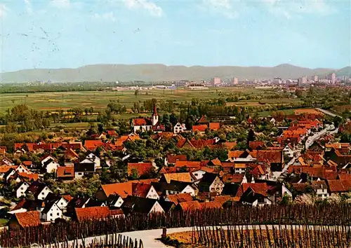 AK / Ansichtskarte  Wolfenweiler_Schallstadt Panorama Blick vom Batzenberg