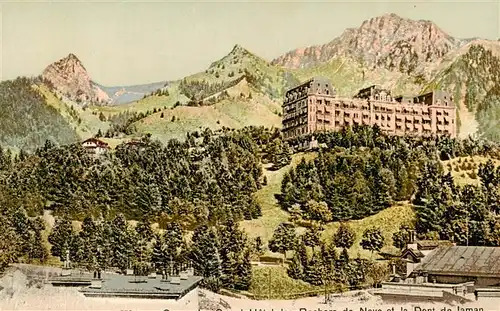 AK / Ansichtskarte  Rochers_de_Naye_VD Chateau et la Dent de Laman