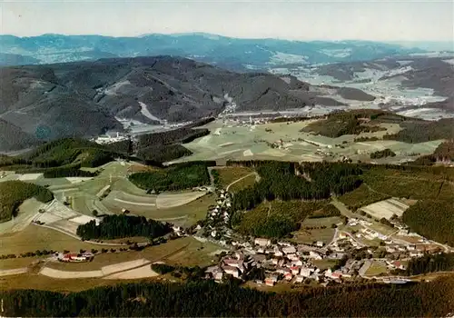 AK / Ansichtskarte  Friedenweiler Fliegeraufnahme