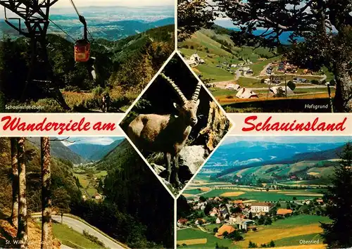 AK / Ansichtskarte 73932758 Schauinsland_Oberried_BW Schauinslandbahn Hofsgrund St Wilhelmer Tal Oberried