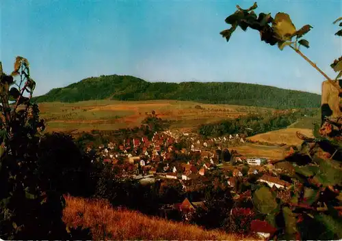 AK / Ansichtskarte 73932880 Merzhausen__Freiburg_Breisgau Panorama