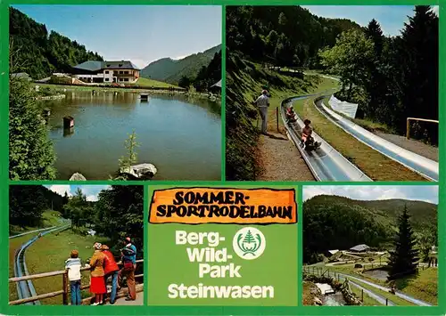 AK / Ansichtskarte  Todtnau Sommerrodelbahn Berg Wild Park Steinwasen Gondelteich Panorama