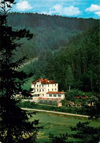 AK / Ansichtskarte  Rabeneck_Waischenfeld_Frankische_Schweiz Gasthof Waldhotel Rabeneck Cafe