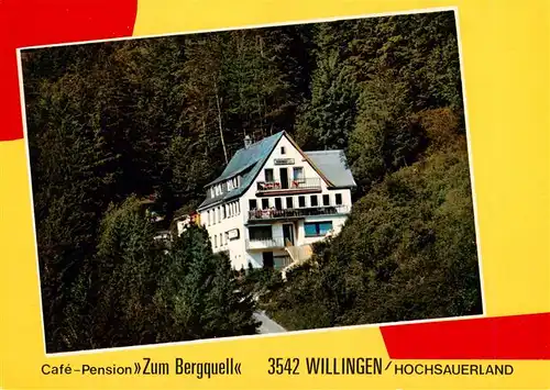 AK / Ansichtskarte  Willingen_Sauerland Cafe Pension Zum Bergquell