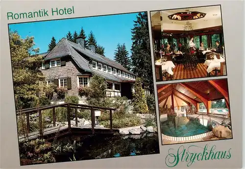 AK / Ansichtskarte  Willingen_Sauerland Romantik Hotel Stryckhaus Gastraum Hallenbad Park