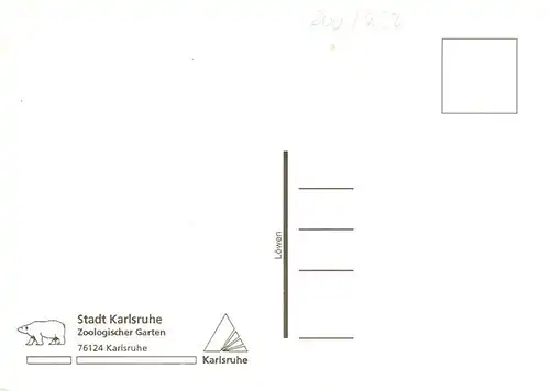 AK / Ansichtskarte  Zoo_Gardin_Zoologique-- Karlsruhe Loewen