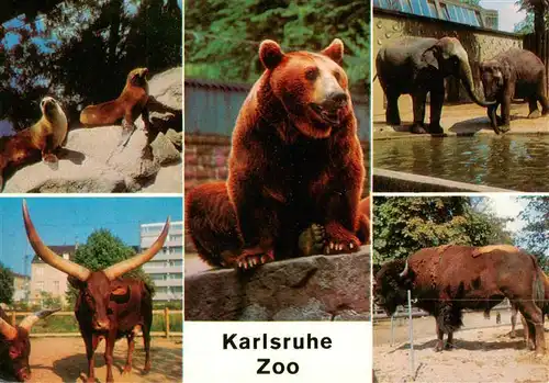 AK / Ansichtskarte  Zoo_Gardin_Zoologique-- Karlsruhe Loewen Watussi-Rinder Elefanten Bison Baer