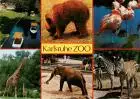 AK / Ansichtskarte 73933632 Zoo_Gardin_Zoologique-- Karlsruhe 