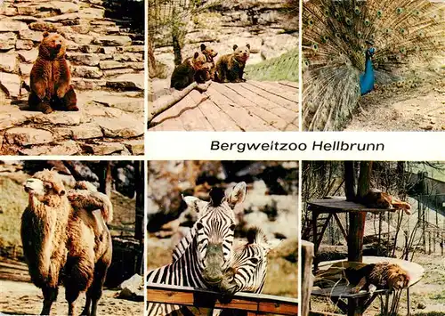 AK / Ansichtskarte  Zoo_Gardin_Zoologique-- Bergweltzoo Hellbrunn Salzburg 