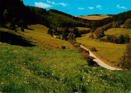 AK / Ansichtskarte  Usseln im Diemeltal Panorama