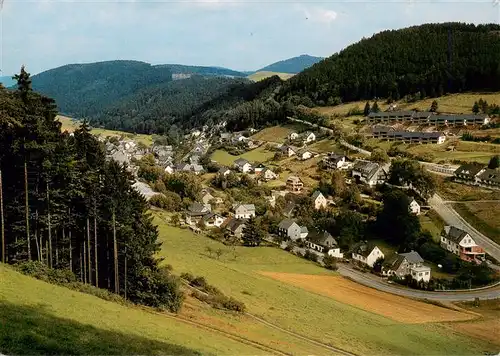 AK / Ansichtskarte  Schwalefeld Panorama