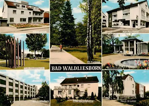 AK / Ansichtskarte  Bad_Waldliesborn Haus Ulrich Am Kurmittelhaus Haus am Park Kurpark Fritz Sprengkamp Kur Apotheke Quellenhaus Haus Bracker