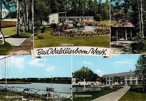 AK / Ansichtskarte 73933905 Bad_Waldliesborn Kurpark Liegehalle Vogelhaus Margaretensee Kurmittelhaus